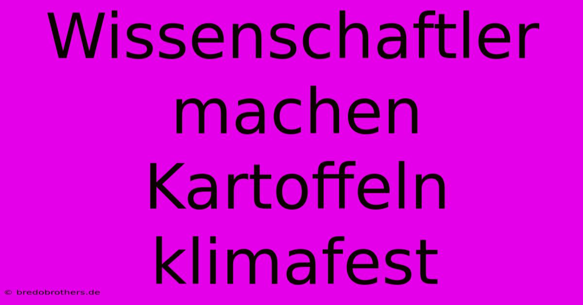 Wissenschaftler Machen Kartoffeln Klimafest