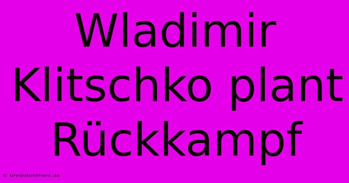 Wladimir Klitschko Plant Rückkampf