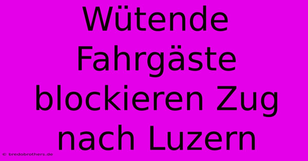 Wütende Fahrgäste Blockieren Zug Nach Luzern