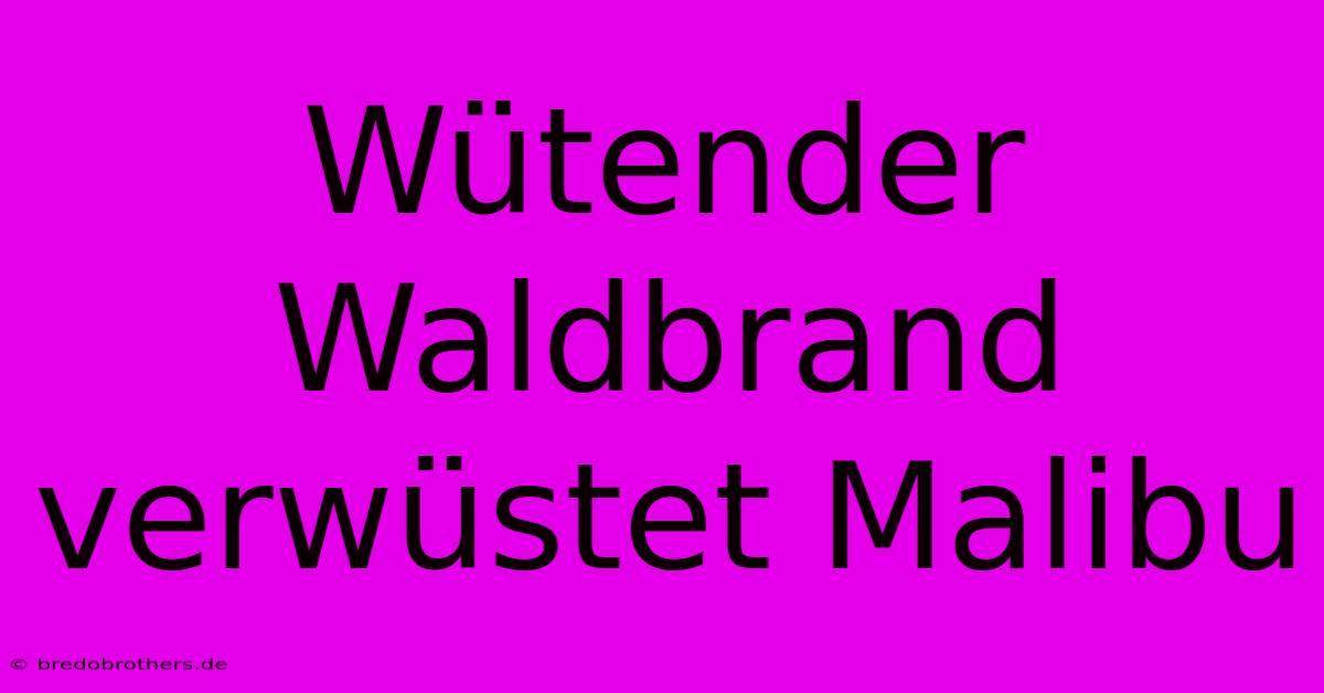 Wütender Waldbrand Verwüstet Malibu