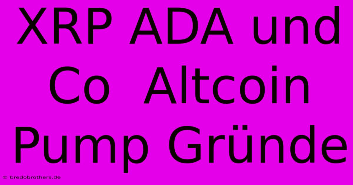 XRP ADA Und Co  Altcoin Pump Gründe