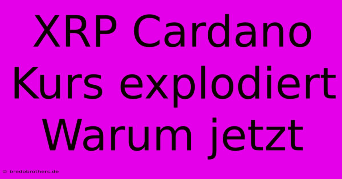 XRP Cardano Kurs Explodiert Warum Jetzt