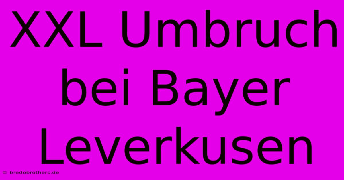 XXL Umbruch Bei Bayer Leverkusen