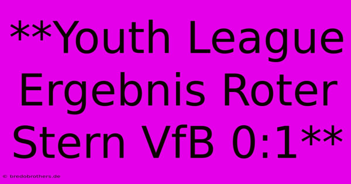 **Youth League Ergebnis Roter Stern VfB 0:1**