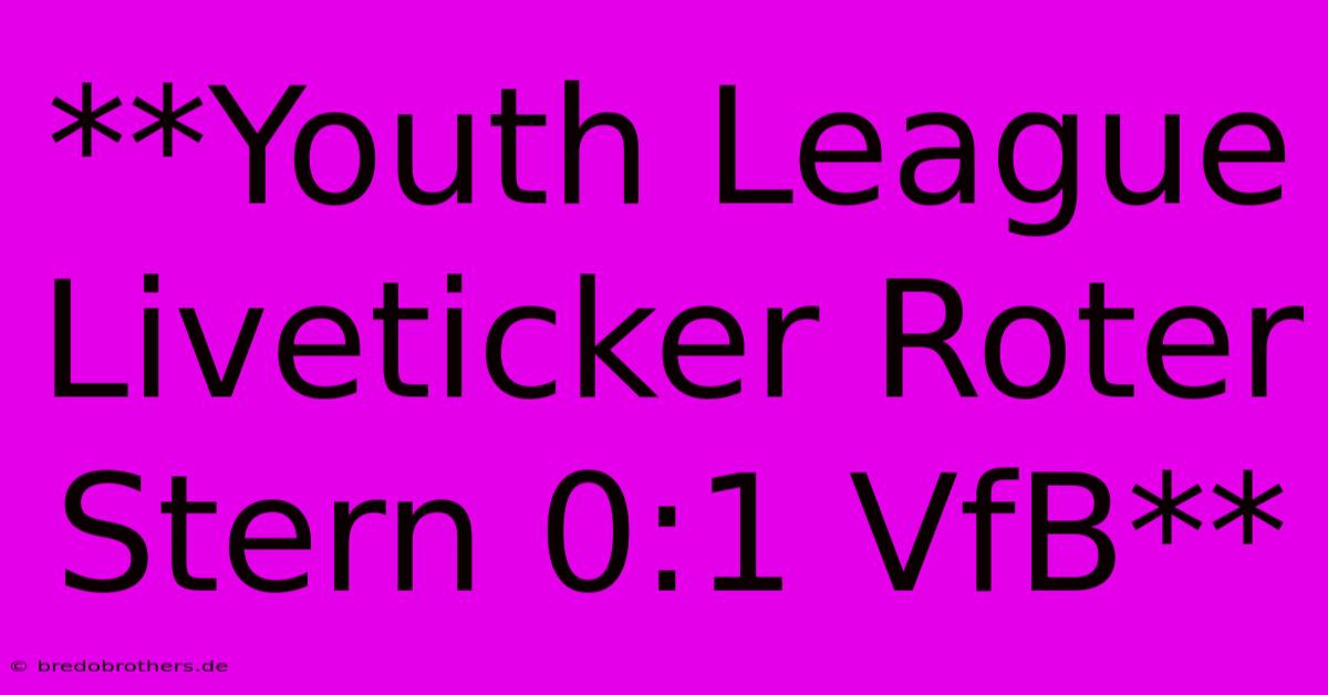 **Youth League Liveticker Roter Stern 0:1 VfB**