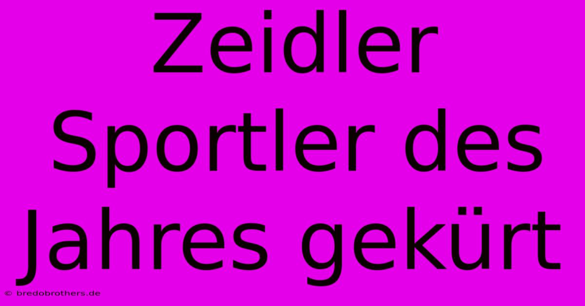 Zeidler Sportler Des Jahres Gekürt