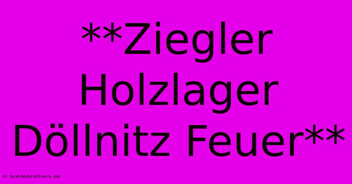 **Ziegler Holzlager Döllnitz Feuer**