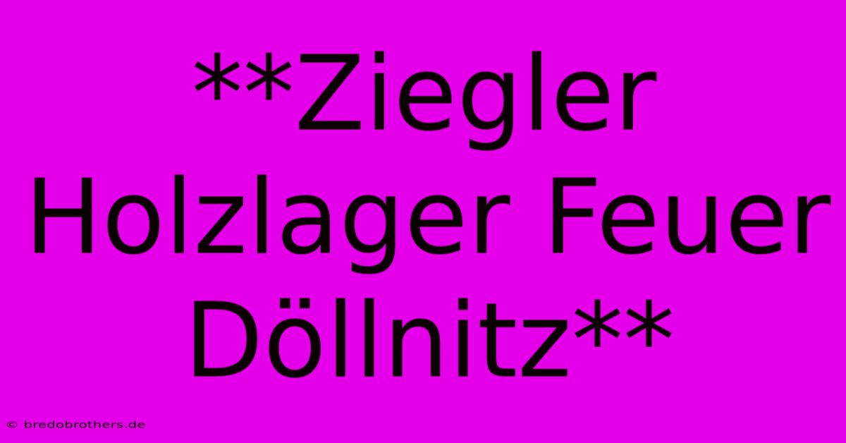 **Ziegler Holzlager Feuer Döllnitz**