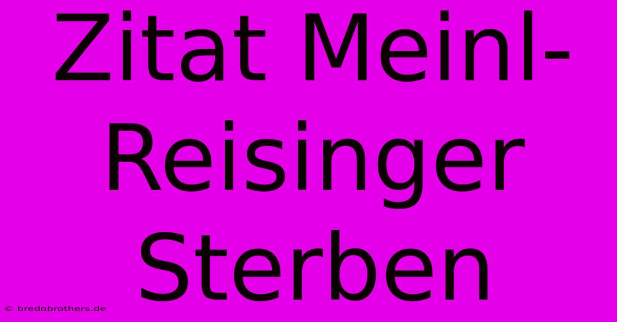 Zitat Meinl-Reisinger  Sterben