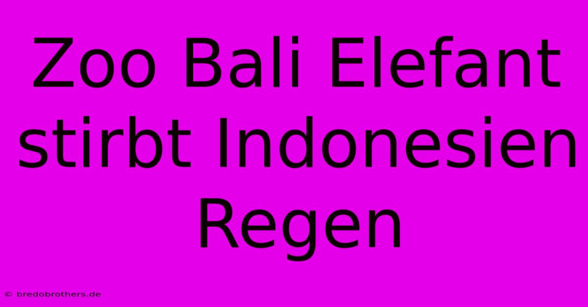 Zoo Bali Elefant Stirbt Indonesien Regen