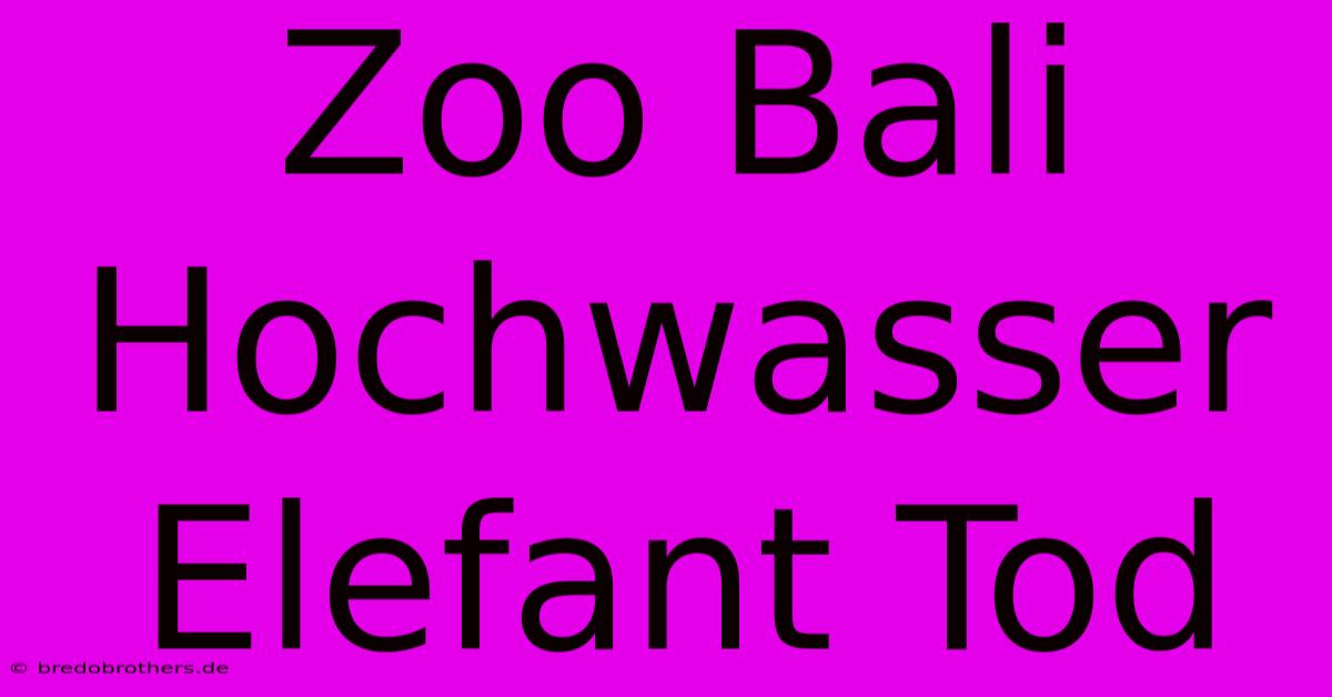 Zoo Bali Hochwasser Elefant Tod