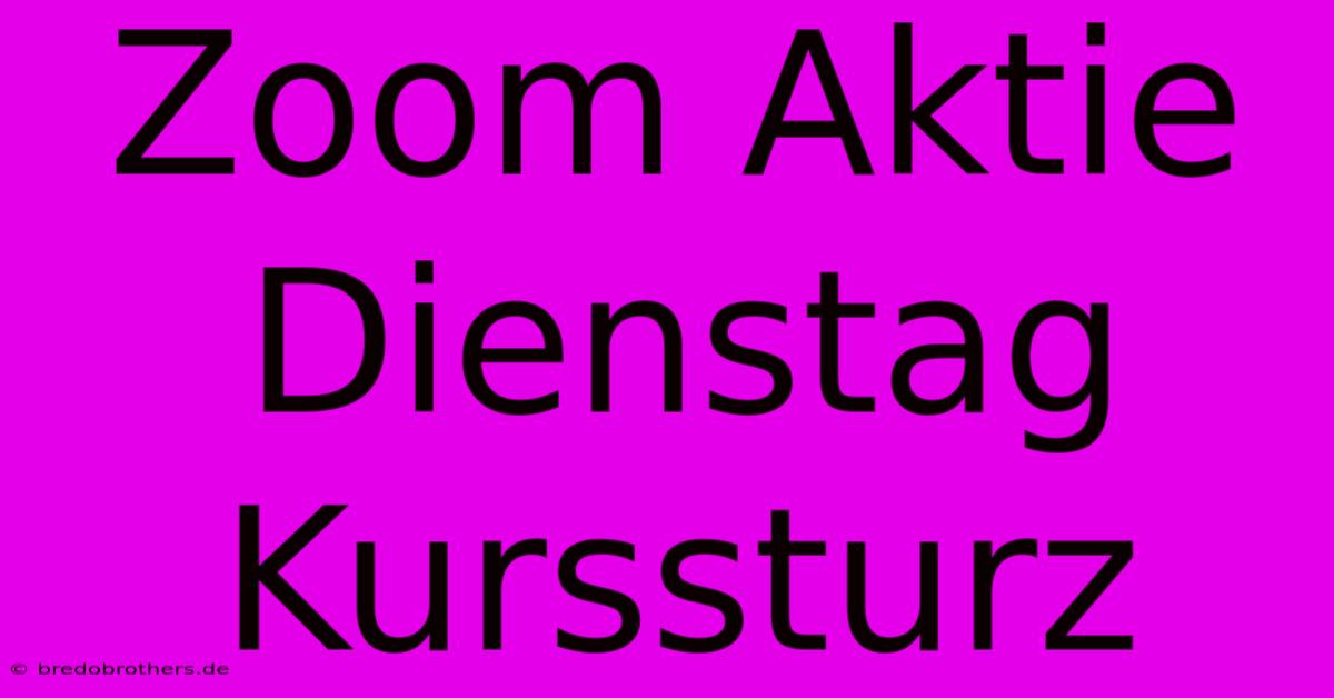 Zoom Aktie Dienstag Kurssturz