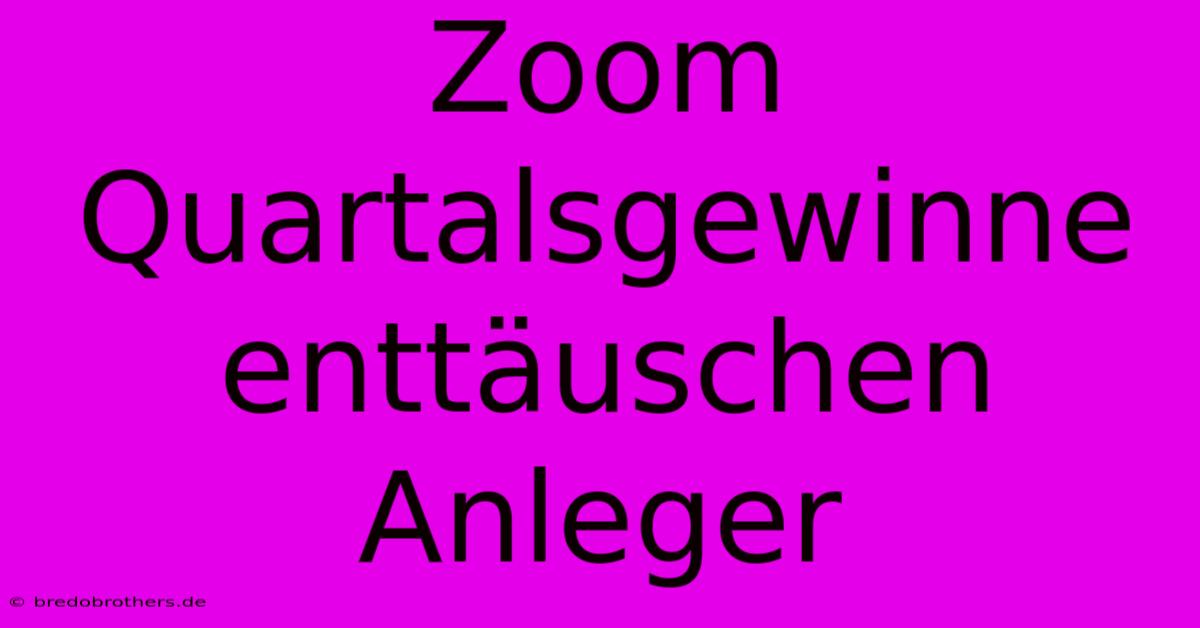 Zoom Quartalsgewinne Enttäuschen Anleger