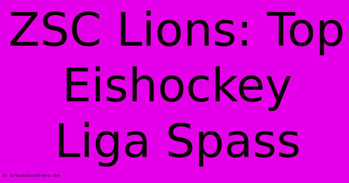 ZSC Lions: Top Eishockey Liga Spass