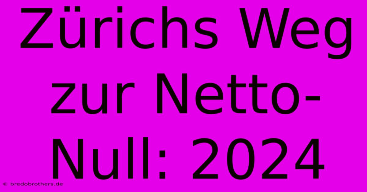 Zürichs Weg Zur Netto-Null: 2024