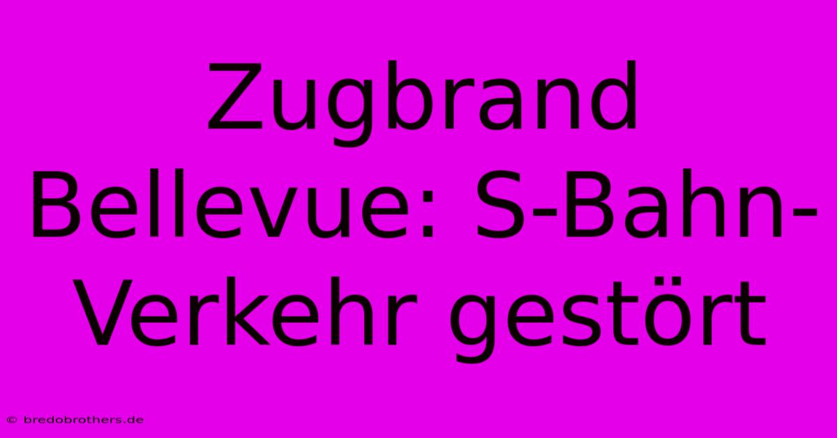 Zugbrand Bellevue: S-Bahn-Verkehr Gestört