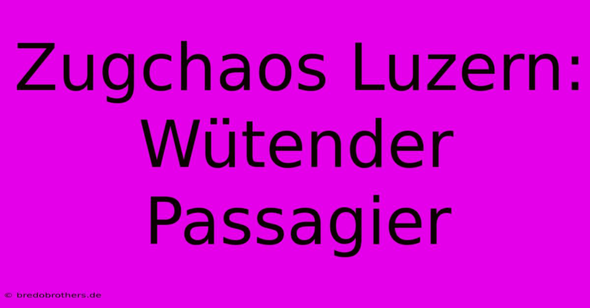 Zugchaos Luzern:  Wütender Passagier