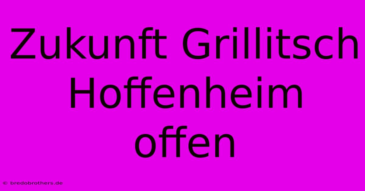 Zukunft Grillitsch Hoffenheim Offen