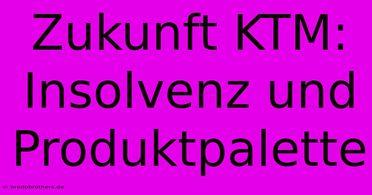 Zukunft KTM: Insolvenz Und Produktpalette