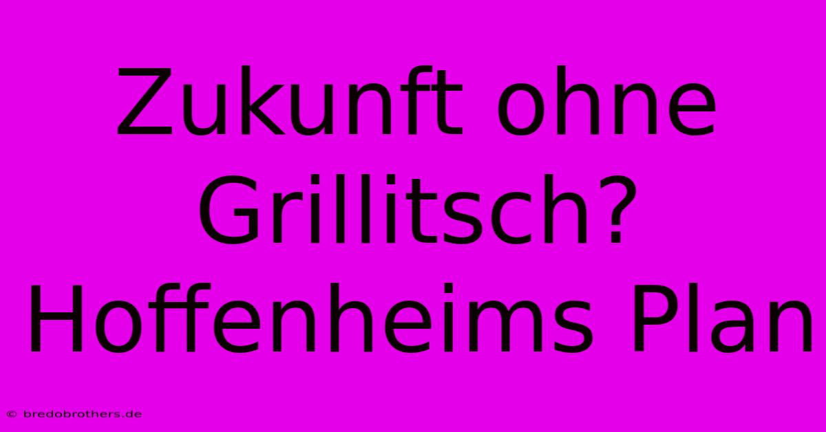 Zukunft Ohne Grillitsch? Hoffenheims Plan