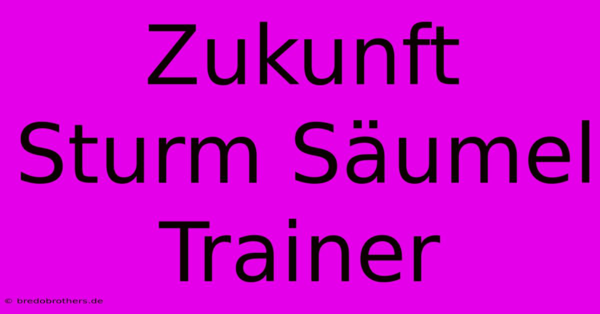 Zukunft Sturm Säumel Trainer