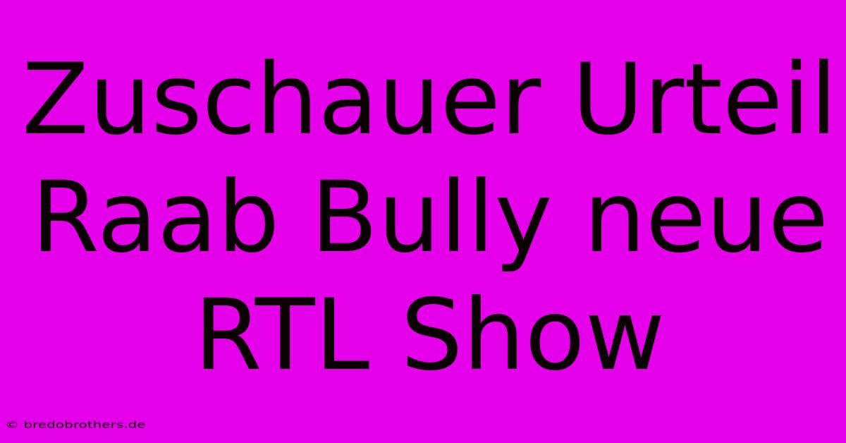 Zuschauer Urteil Raab Bully Neue RTL Show