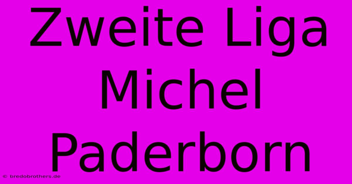 Zweite Liga Michel Paderborn