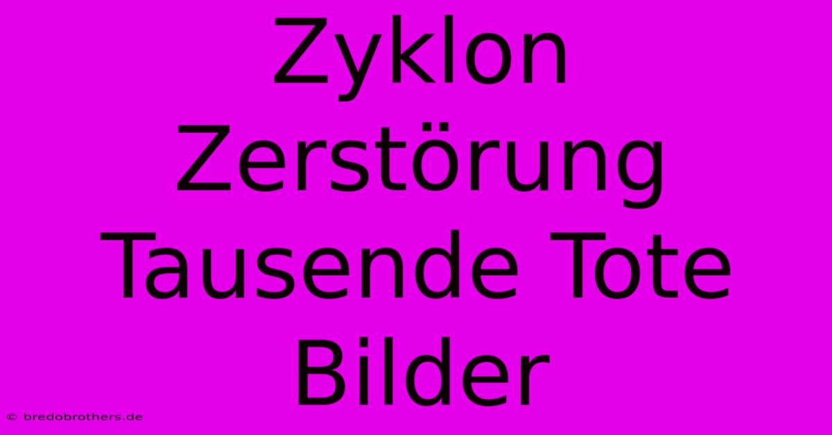 Zyklon Zerstörung Tausende Tote Bilder